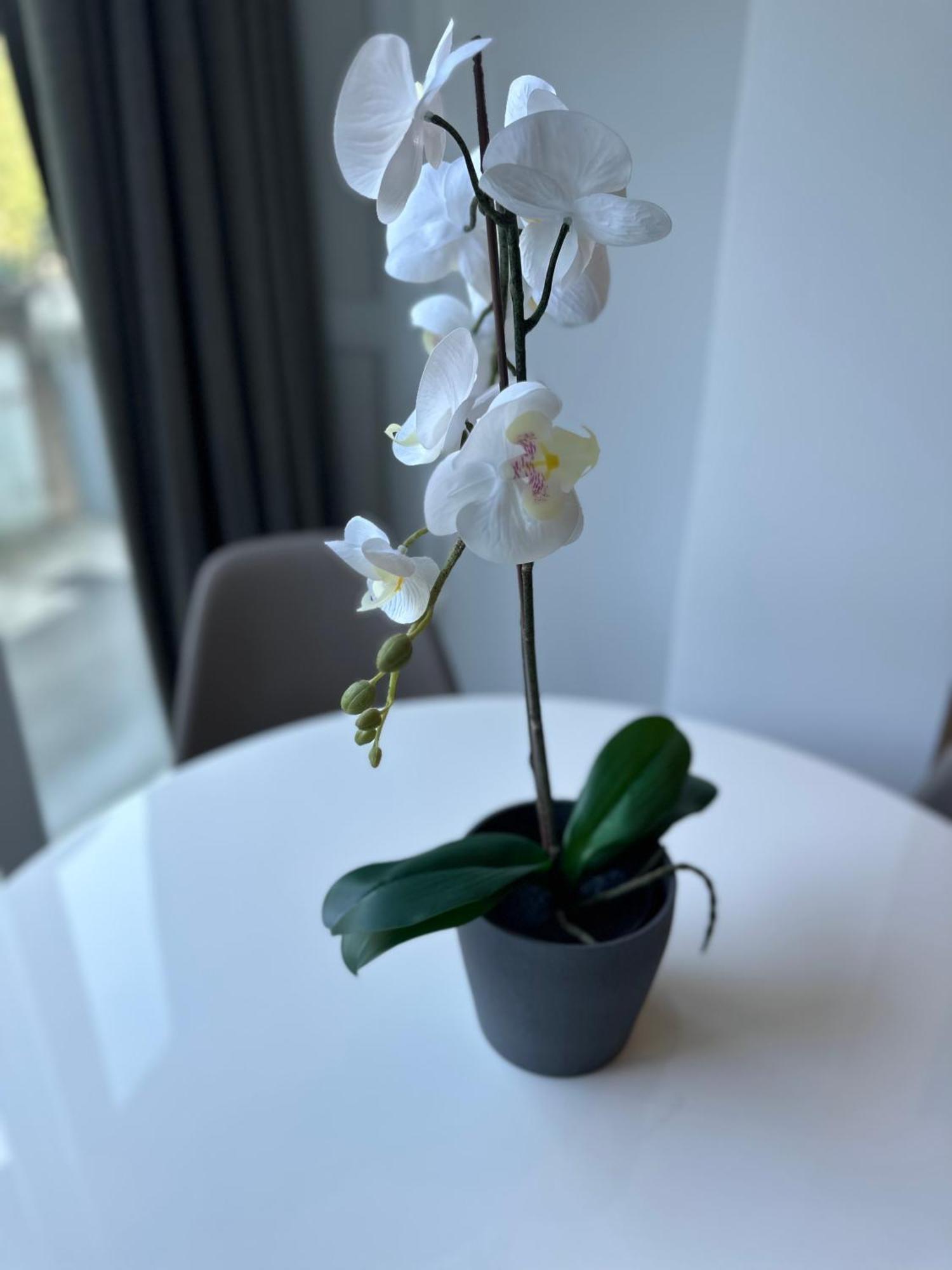 N&G New Apartment Stoja Beach Pula Ngoại thất bức ảnh
